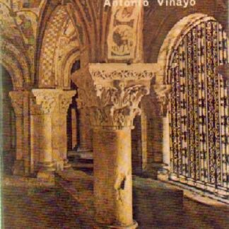 León. Antonio Viñayo