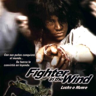 Fighter in the Wind